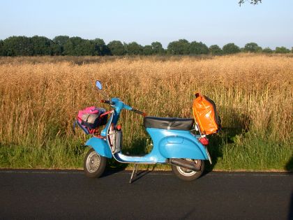 Blaue Vespa Primavera aus den 70er Jahren auf einer Straße vor einem Konfeld mit Baumreihe am Horizont.